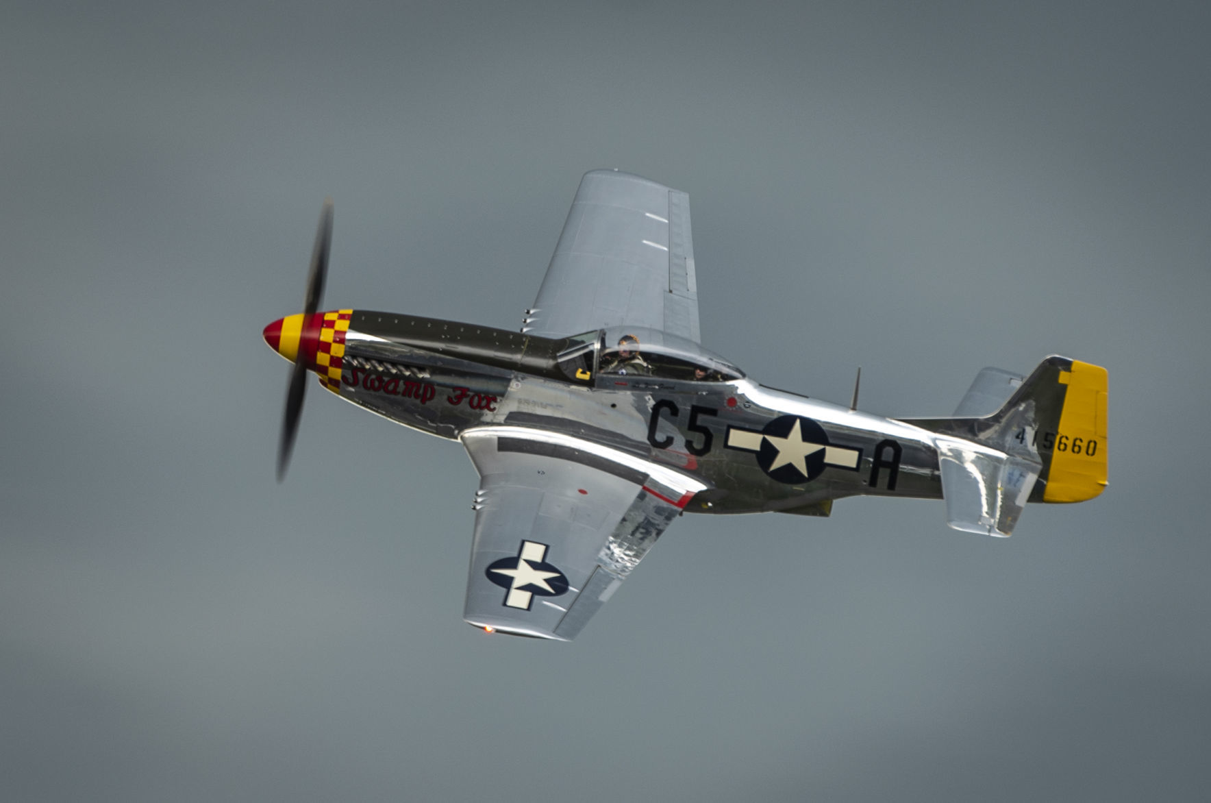 Snowbirds
